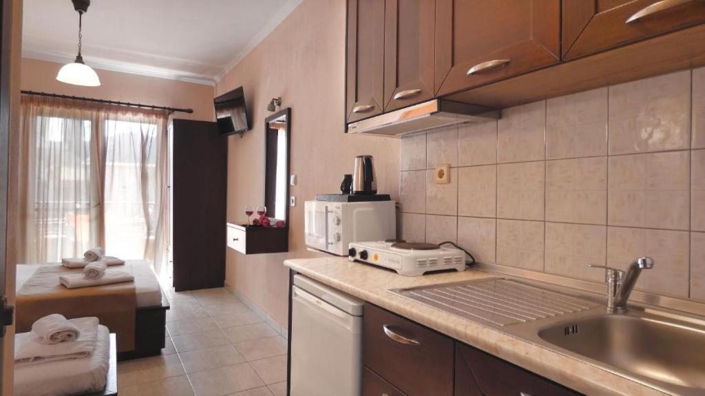 House Chrysoula Mitsokopi Apartment Sarti Exterior photo